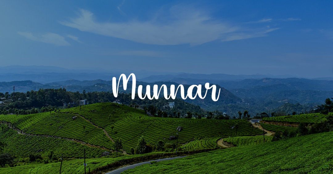 Munnar tea plantations and hill landscape