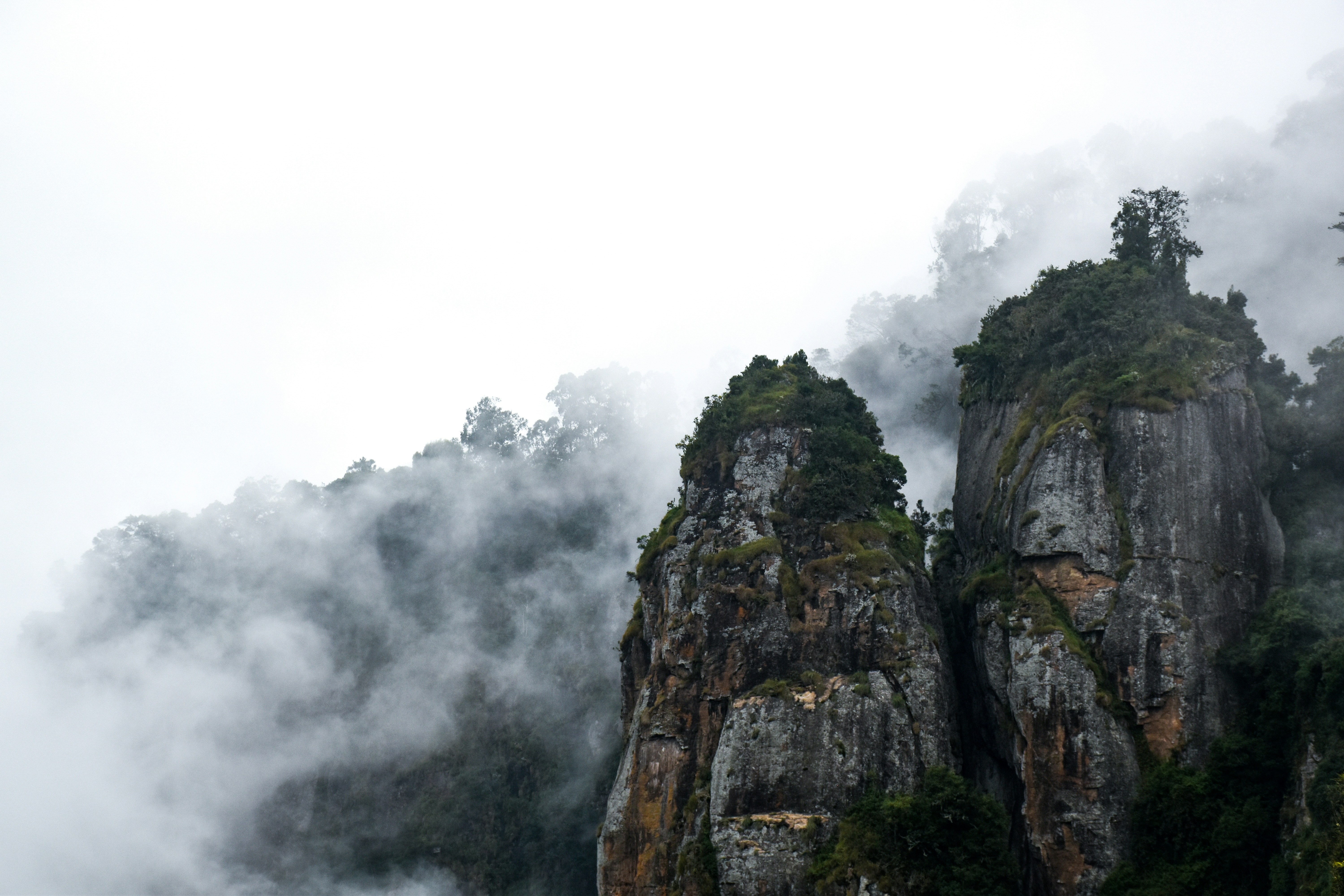 Scenic holiday destinations with tea gardens and hill stations