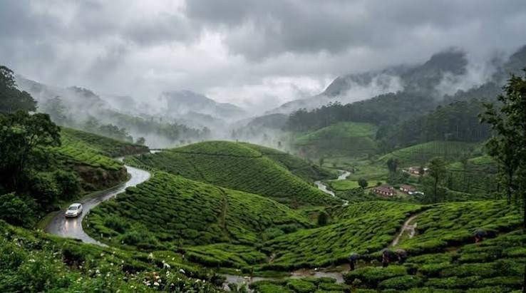 Kerala tour package with Munnar hills