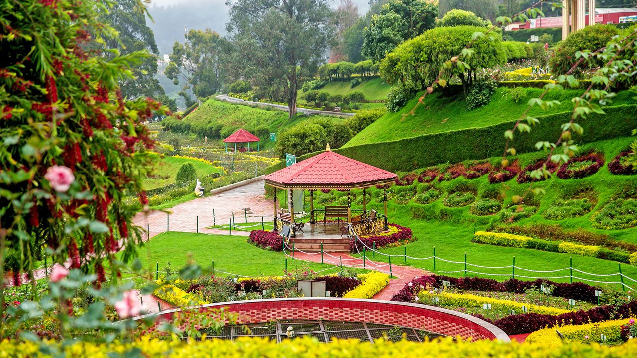 Ooty & Coonoor honeymoon destination
