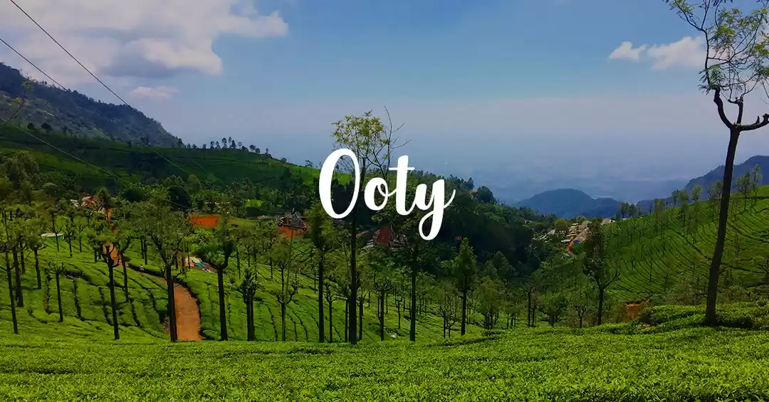 Ooty Nilgiri hills and tea gardens
