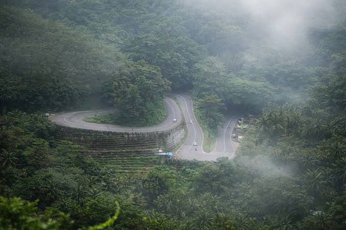 Wayanad Rainforest Hills and Alleppey Backwaters
